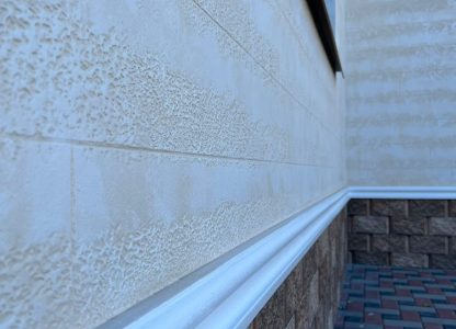 WhatsApp Image 2026-02-24 at 11.31.53 (1)